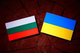 Трябва ли България да предостави оръжия и боеприпаси на Украйна?