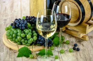 Домашно производство на вино